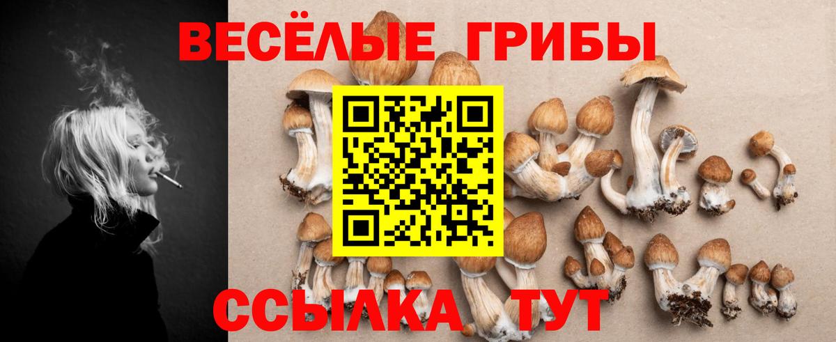 Уфа  Галлюциногенные грибы Psilocybe  Вход с VPN 